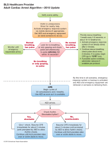 BLS-Adult-Cardiac-Arrest-Algorithm---2015-Update
