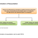 American Heart Association. Web-based Integrated Guidelines for Cardiopulmonary Resuscitation and Emergency Cardiovascular Care – Part 3: Ethical Issues. ECCguidelines.heart.org.